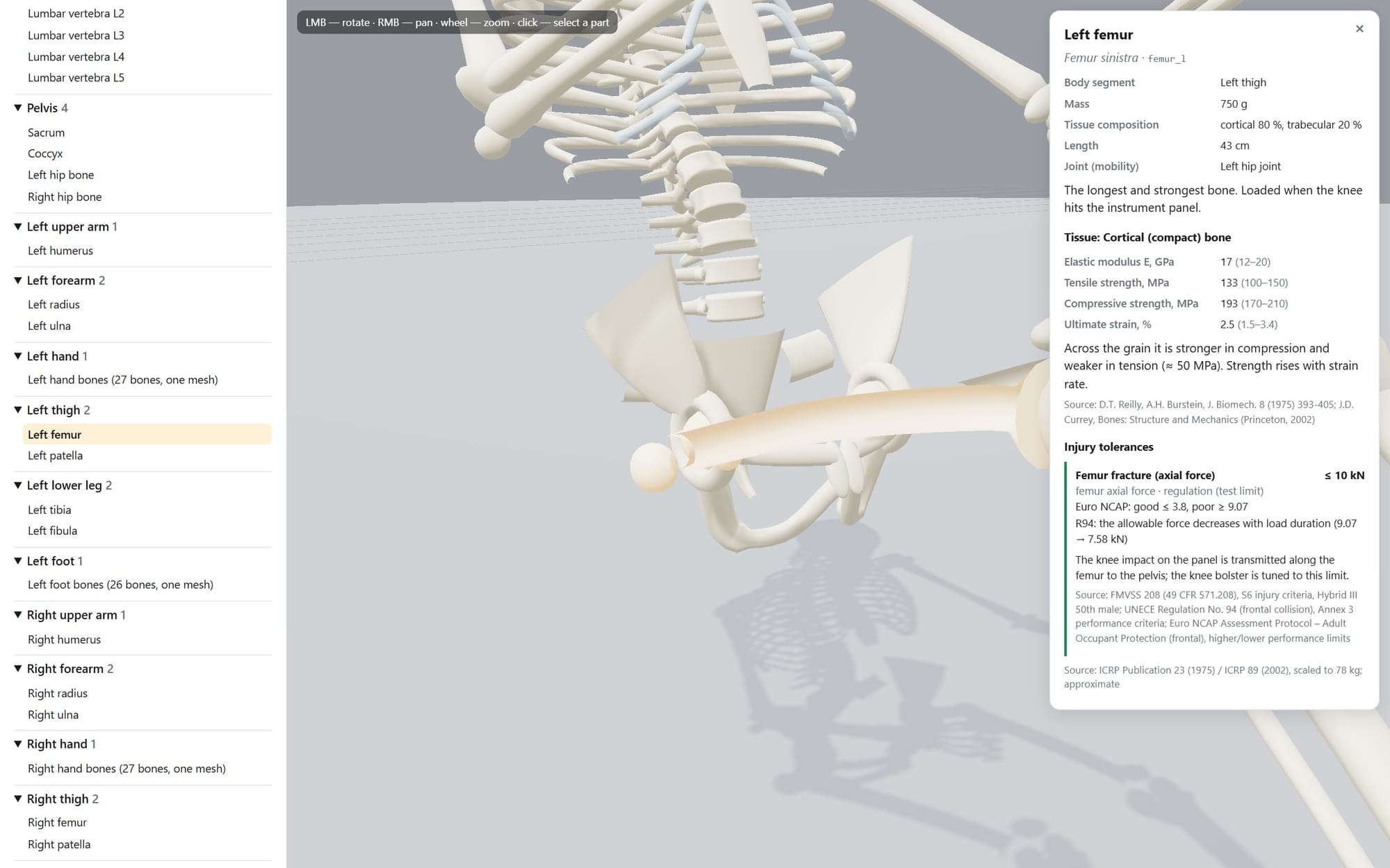 Bone card for the left femur: 750 g, 43 cm, bone tissue strength and a 10 kN injury limit from FMVSS 208 and Euro NCAP