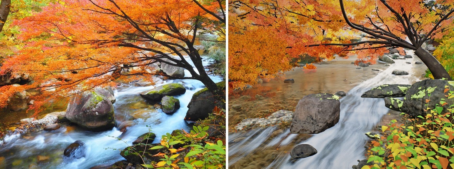Reference of a mountain river under an orange maple next to the three.js render with boulders and silky rapids